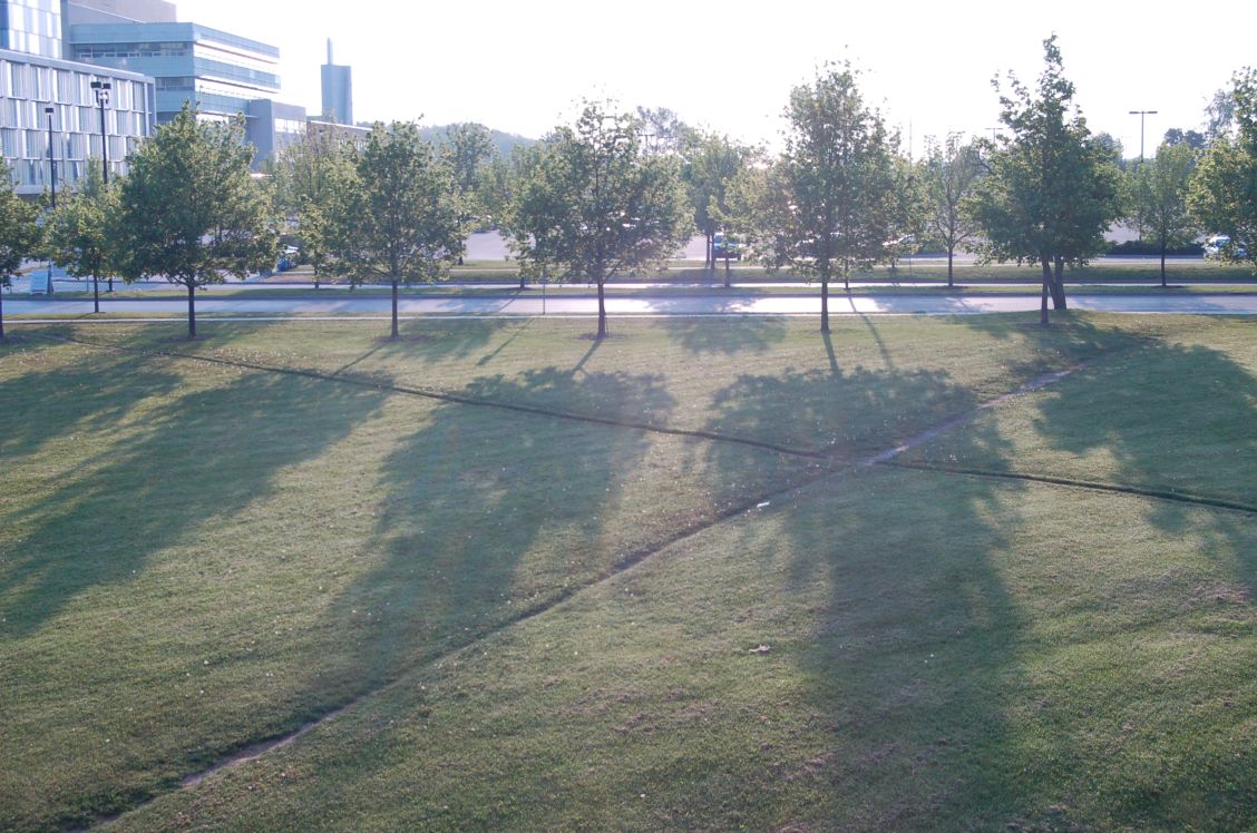 DSC_0047sm.jpg DSC_0047sm.jpg