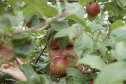 dsc_0019_sm.gif