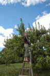dsc_0066_sm.gif