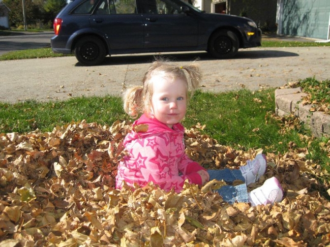 In the leaves